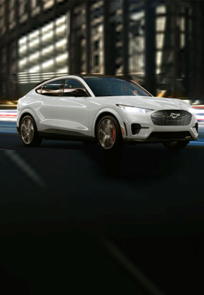 Mustang-BD